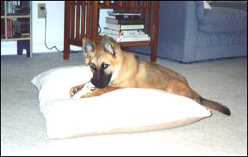 Photo of Lexie