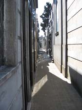IMG_0591